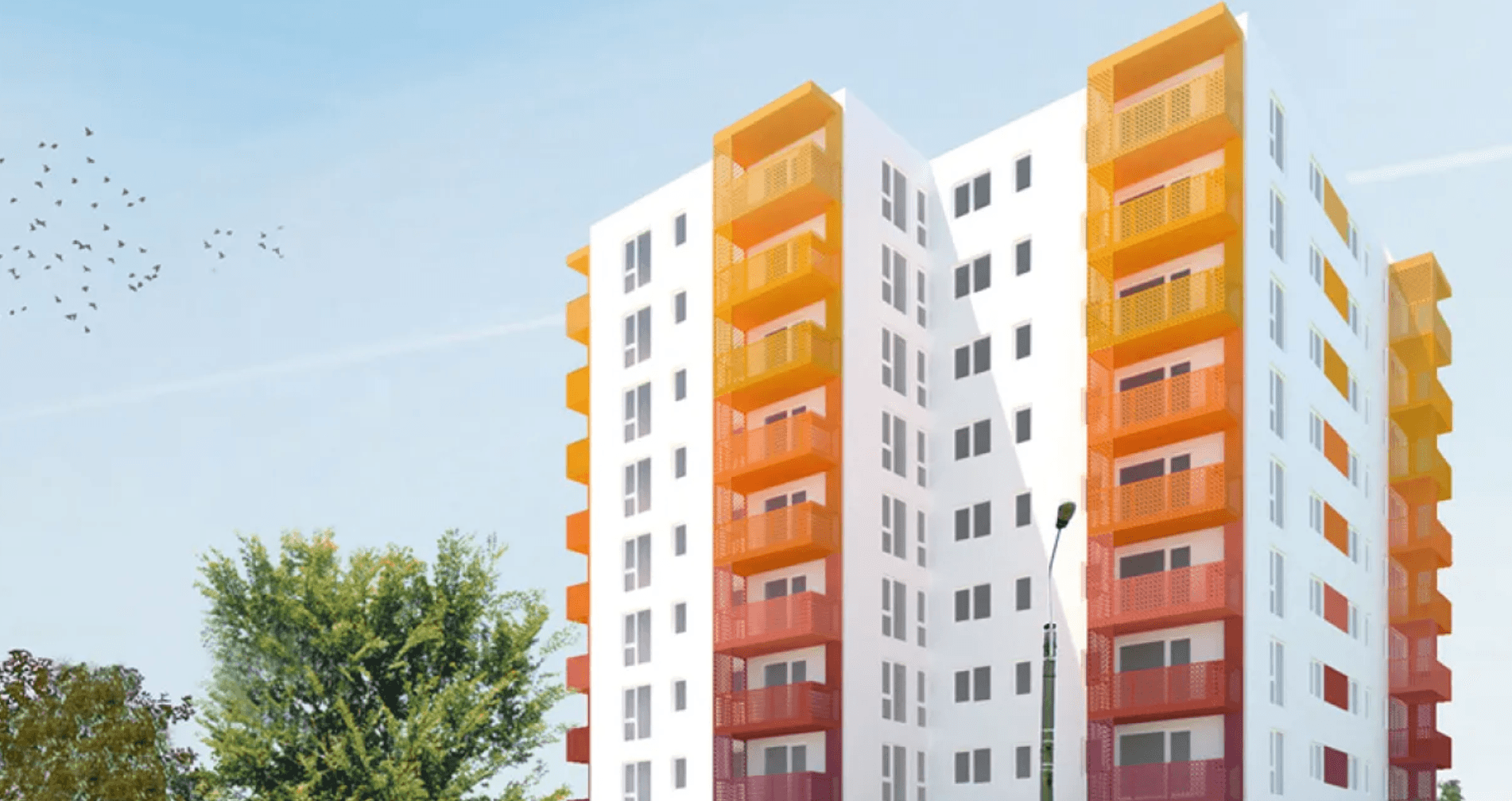 Imagine reprezentativa Vivalia Soarelui