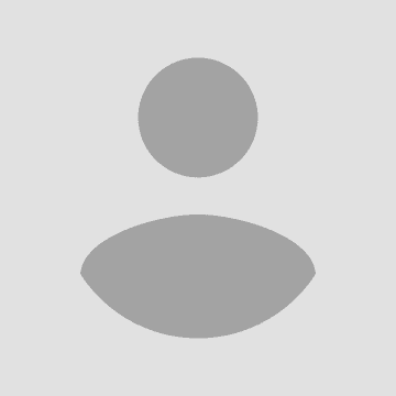 review Anca Bolborea